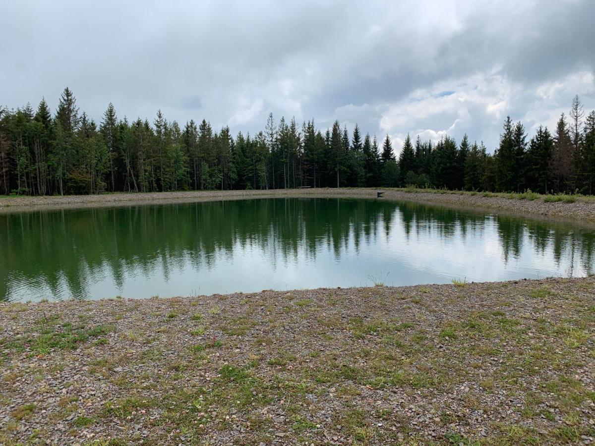 Residenz Schauinsland Todtnauberg - Fewo 17 - Sauna - Spielzimmer Fuer Kinder - Naehe Feldberg المظهر الخارجي الصورة
